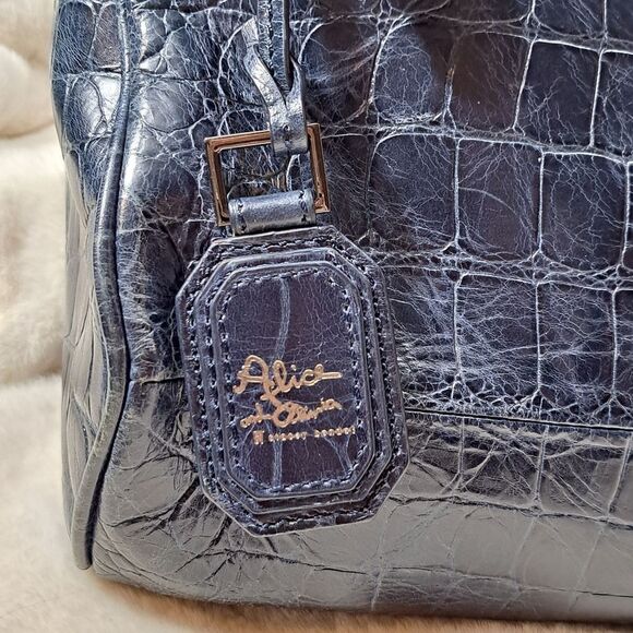 NWOT Alice + Olivia distressed Leather Bag EXCELLENT QUALITY - Picture 5 of 16